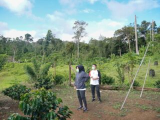 Wali Kota dan Ketua DPRD Tinjau Lokasi Perkebunan Kopi Mobalang