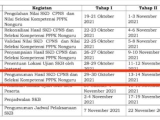 Hasil SKD CPNS Kotamobagu 2021 Akan Diumumkan Bulan November