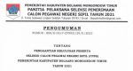 Pengumuman