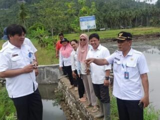 Dinas Pertanian Boltim Tinjau Persawahan di Buyat