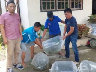 Dinas Perikanan Boltim Salurkan 2000 Benih Ikan Nila Kepada Kelompok Tani