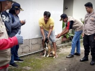 Distan Boltim Lakukan Vaksinasi Rabies Hewan Peliharaan
