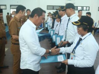 Latsar CPNS Formasi 2019 Resmi Ditutup