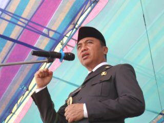 Bupati Sachrul Pimpin Upacara Hari Pahlawan Nasional