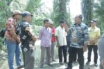 Wakil Bupati Asahan Tinjau Kondisi Bantaran Sungai Sei Liga