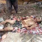 Diduga Miliki Riwayat Penyakit Sawan Air, Warga Desa Rawan Sari Tewas Dalam Parit Bekoan