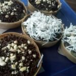 Jualan Martabak Mini, Nadya Raup Untung Hingga Jutaan Rupiah