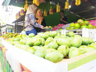 Penjualan Aneka Buah Milik Rifki Raup Untung Jutaan Rupiah Per Hari