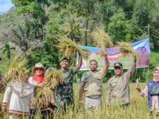 Panen Padi Sawah di Silandit dapat Apresiasi dari Pj Wali Kota