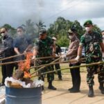 Pemko dan Polres Kota Padangsidimpuan Musnahkan Barang Bukti Narkotika