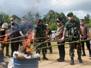 Pemko dan Polres Kota Padangsidimpuan Musnahkan Barang Bukti Narkotika