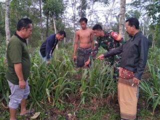 Bayi Perempuan Dibuang di Pekarangan, Polsek Ponggok Polres Blitar Kota Lakukan Penyelidikan