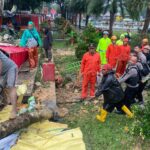 Polres Blitar Kota Gerak Cepat Bantu Evakuasi Pohon Tumbang yang Menimpa PKL
