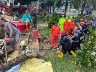 Polres Blitar Kota Gerak Cepat Bantu Evakuasi Pohon Tumbang yang Menimpa PKL