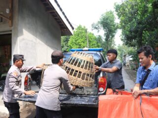 Satreskrim Polres Blitar Kota dan Polsek Ponggok Bongkar Arena Judi Sabung Ayam di Karangbendo