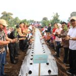 Wali Kota Asripan Nani Canangkan Gerakan Penanaman 10.000 Pohon Cabai