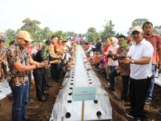 Wali Kota Asripan Nani Canangkan Gerakan Penanaman 10.000 Pohon Cabai