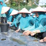 TP-PKK Kabupaten Asahan Ikut Gerakan Tanam Cabai Serentak