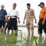 Kementrian Pertanian Optimis Indonesia Jadi Lumbung Pangan Dunia Terutama Bangkalan