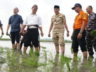 Kementrian Pertanian Optimis Indonesia Jadi Lumbung Pangan Dunia Terutama Bangkalan