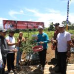 Wali Kota Kotamobagu Asripan Nani Pimpin Panen Cabai Rawit di Bukit Ilongkow