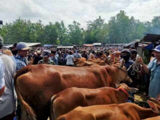 Dispertanak Bangkalan Perketat Pengawasan Lalu Lintas Hewan Ternak