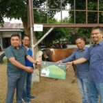 Asisten I Rusian Heri Serahkan Bantuan 30 Ekor Sapi Kurban