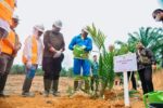 Pj Bupati Batu Bara Heri Wahyudi Marpaung Lakukan Penanaman Perdana PSR