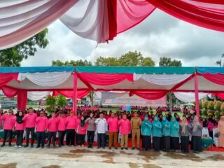 Pemerintah Kecamatan Kota Kisaran Timur Gelar Jambore Kader Posyandu dan Kader PKK Kelurahan