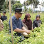 Wali Kota Abdullah Mokoginta Pantau Ketersediaan Produksi Pangan