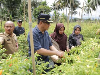 Wali Kota Abdullah Mokoginta Pantau Ketersediaan Produksi Pangan