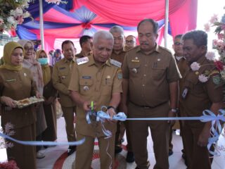 Bupati Asahan Resmikan Ruangan PICU Dan NICU RSUD HAMS 