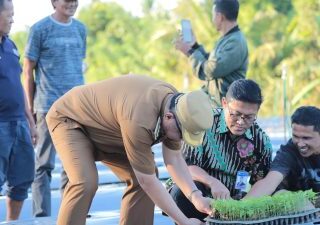 Petani Cabai di Kotamobagu Dapat Bantuan Digital Farming dari Bank Indonesia