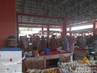Pastikan Harga Sembako, Maloho Tinjau Pasar Boroko 
