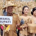 Pasca Dilantik, Wabub Blitar Beky Panen Raya Jagung Jaga Swasembada Pangan