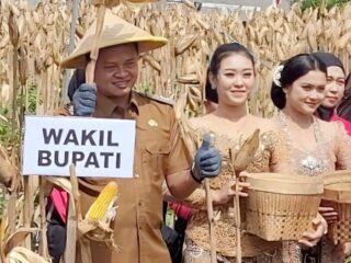 Pasca Dilantik, Wabub Blitar Beky Panen Raya Jagung Jaga Swasembada Pangan