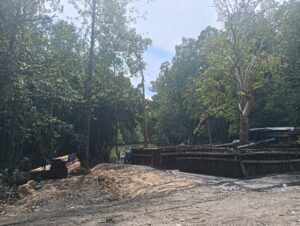 Ormas FBI Kecam Penampungan Pasir Ilegal di Kawasan Hutan Bakau Umalaoge