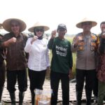 Pemkab Sidoarjo Ikuti Panen Raya Padi Serentak Bersama Presiden Prabowo Subianto