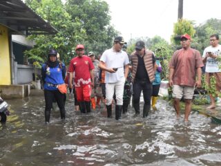 Air Menggenang, Warga Pejaya Anugrah Menanti Solusi Nyata