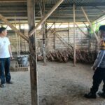 Aipda Suhermanto Bantu Peternak Bebek, Dorong Ekonomi Desa dan Swasembada Pangan