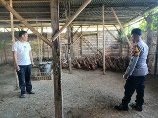 Aipda Suhermanto Bantu Peternak Bebek, Dorong Ekonomi Desa dan Swasembada Pangan