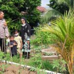 Aiptu Sulaiman Kunjungi Petani Tomat Beri Semangat Jaga Ketahanan Pangan