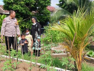 Aiptu Sulaiman Kunjungi Petani Tomat Beri Semangat Jaga Ketahanan Pangan