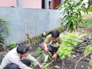 Brigadir Bayu Rizky Dampingi Petani Tanam Ketela di Cemandi