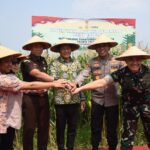 Bupati Sidoarjo Serahkan Bantuan 300 Ton Benih Jagung ke Petani