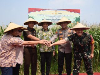 Bupati Sidoarjo Serahkan Bantuan 300 Ton Benih Jagung ke Petani