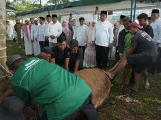Pemkab Asahan Sembelih 111 Ekor Hewan Qurban di Alun-Alun Kisaran