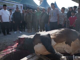 Bupati Asahan Serahkan Hewan Qurban Presiden Prabowo Subianto ke Masjid Raya Kisaran