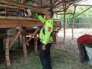 Wujudkan Ketahanan Nasional, Bhabinkamtibmas Semambung Kunjungi Peternakan Kambing