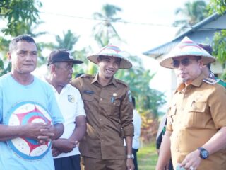 Terjun Langsung Bersama Petani, SJL-MAP Pimpin Langsung Panen Padi Sawah Di Desa Tuntulow Utara